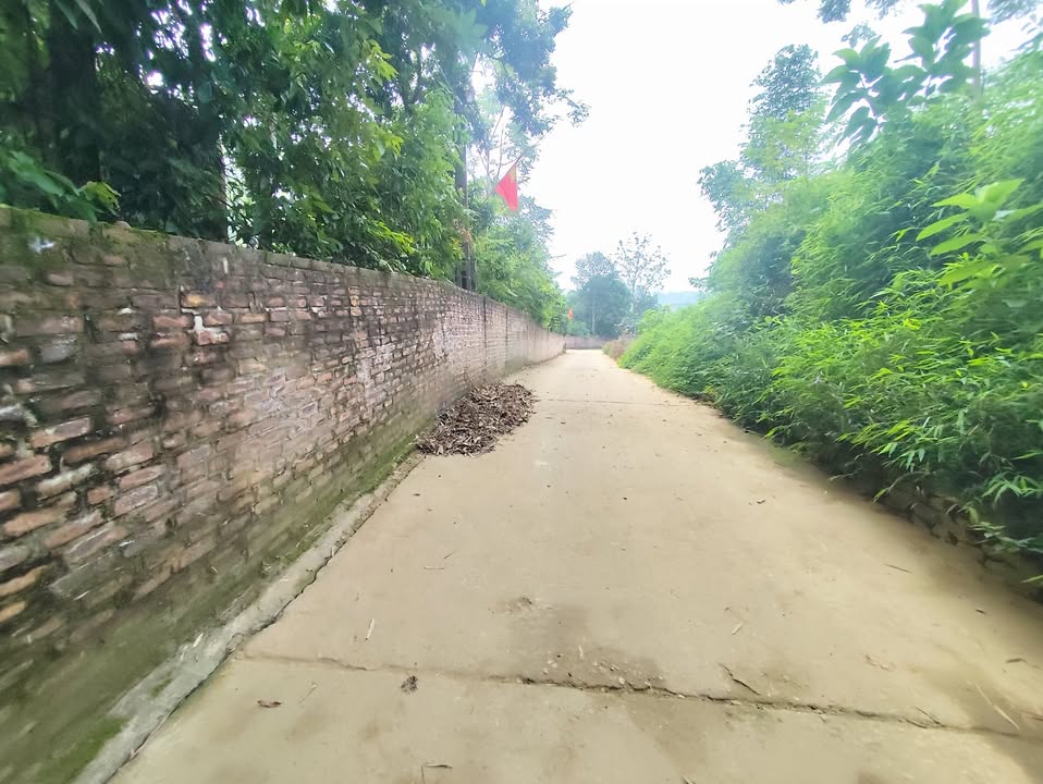 Đất Cẩm Lĩnh, Ba Vì 520m² giá 1.9 tỷ - Sổ đỏ chính chủ, vị trí thông thoáng!