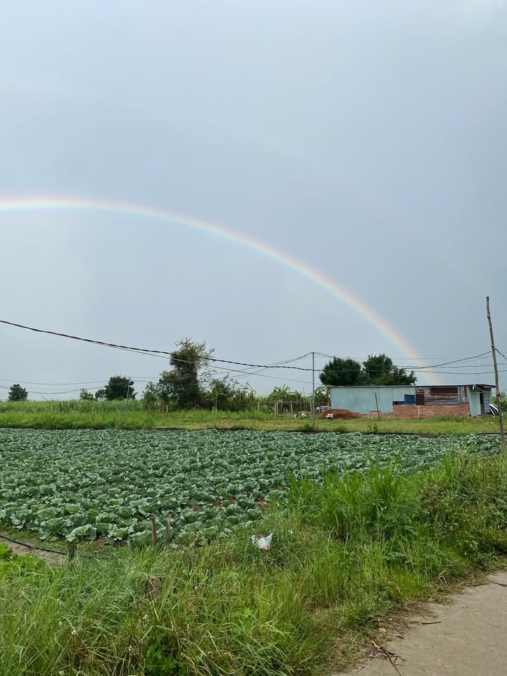 Đất rẫy Phú An Đăk Pơ 2945m² - Đẹp, bằng phẳng, sẵn sàng đầu tư!