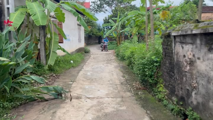 Đất nền 103m² xã Đại Hóa, Tân Yên chỉ 600 triệu - Đầu tư sinh lời ngay!