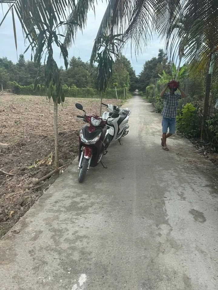 Đất nền Phú Cường Cai Lậy 308.6m² giá 650 triệu - Cơ hội đầu tư hiếm có!