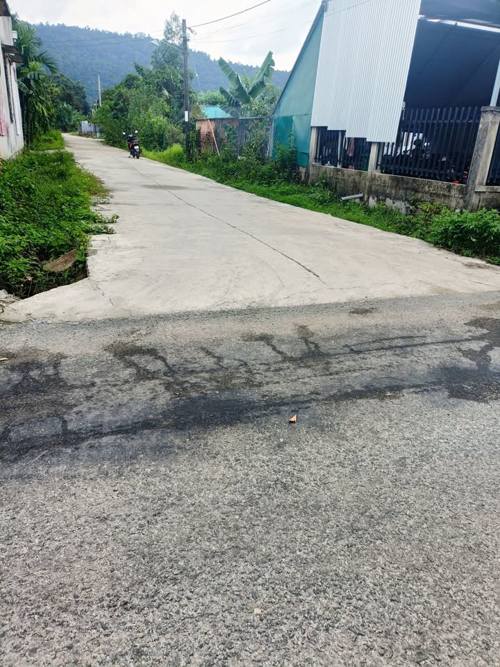 Lô đất mặt tiền đường Petong Tánh Linh 221m² giá 2.21 tỷ - Gần chợ mới và trường học!