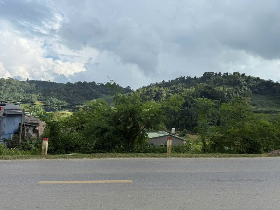 Đất nền Mộc Châu 156m² giá thỏa thuận - Đầu tư sinh lời lý tưởng!