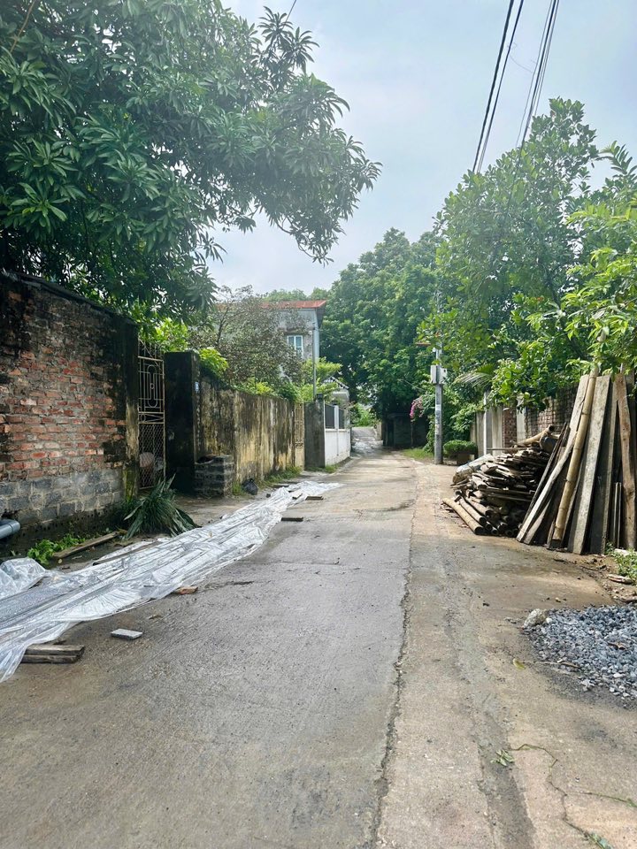 Đất nền Phù Lưu Tế, Mỹ Đức, Hà Nội 99m² giá 2 tỷ - Cơ hội đầu tư tuyệt vời!