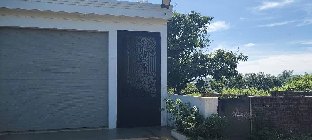 Lô đất đồi thông 420m² tại Pleiku giá chỉ 1.9 tỷ - Cơ hội đầu tư tuyệt vời!