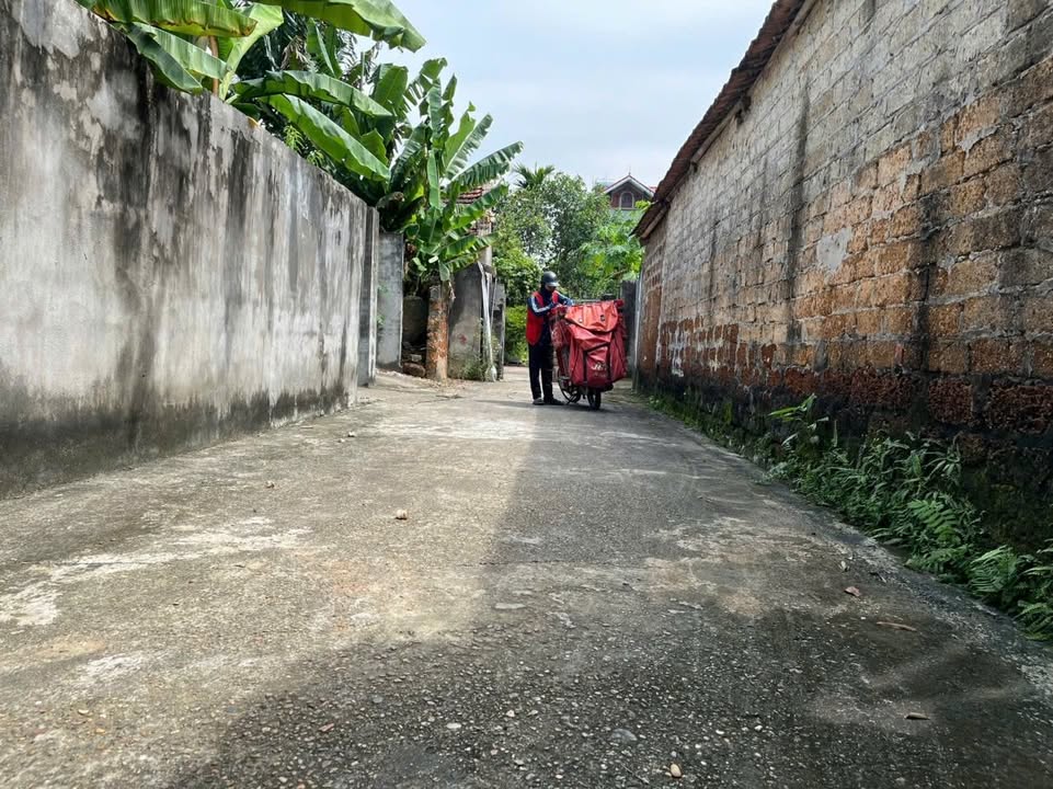 Đất thổ cư 300m² tại Sơn Đông, Sơn Tây - Cơ hội đầu tư giá tốt chỉ 3 tỷ!