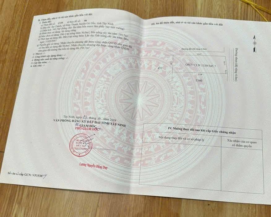 Đất nền 341m² tại Ấp Chánh, Gò Dầu chỉ 1.2 tỷ - Cần bán gấp thu hồi vốn!