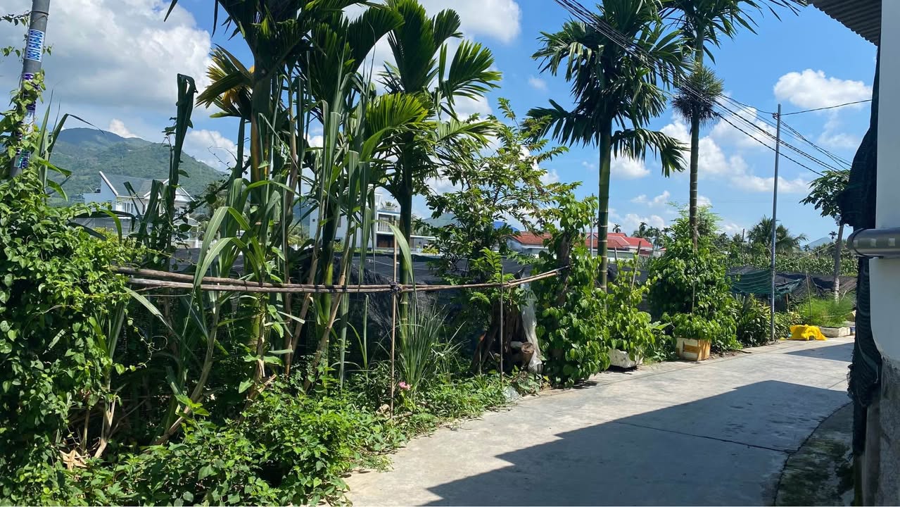 Đất thổ cư Diên Phú 150m² giá 1.2 tỷ - Cơ hội sở hữu lô đất đẹp!