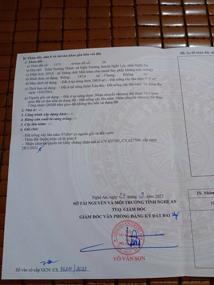 Đất nền Nghi Trường 197m² giá 1.3 tỷ - Đường thông thoáng, đầu tư sinh lời!