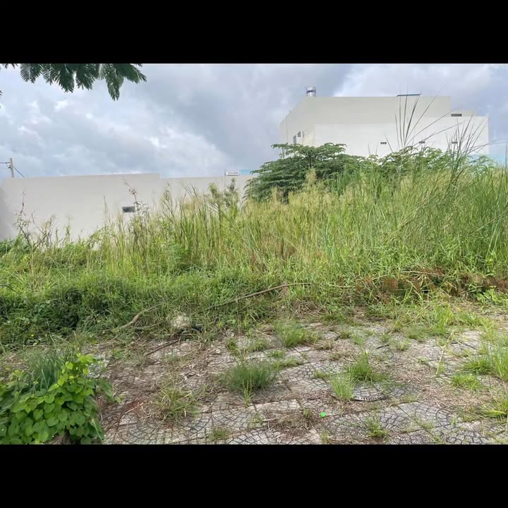 Đất nền Khu Dân Cư Tràng An, Bạc Liêu - 100m² chỉ 1.2 tỷ - Đầu tư sinh lời!