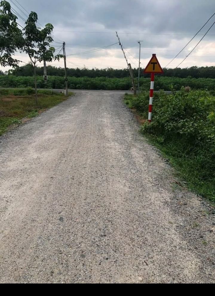 Đất nền Suối Đá Dương Minh Châu 150m² giá 265 triệu - Sổ đỏ chính chủ!