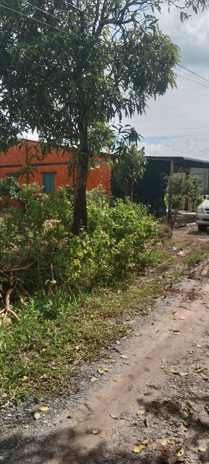 Đất nền Truông Mít Dương Minh Châu 1008m² giá 1.08 tỷ - Cơ hội đầu tư sinh lời!