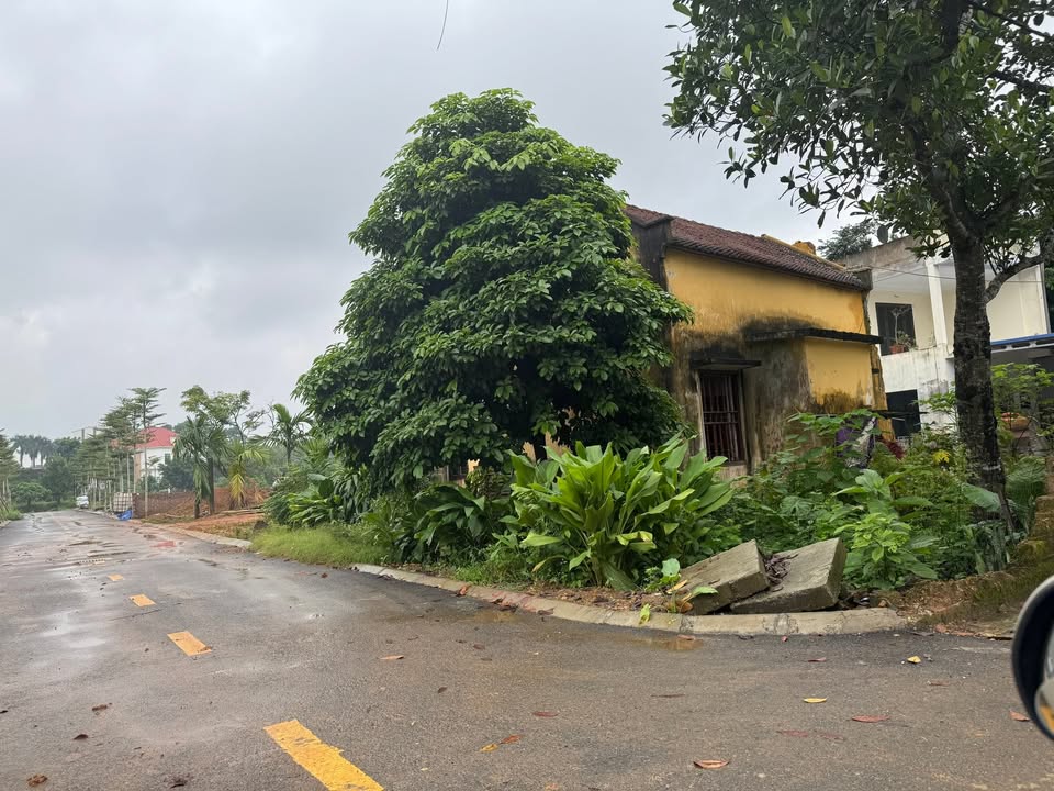 Lô đất đẹp tại Phú Cát, Quốc Oai, Hà Nội 436,5m² - Cơ hội đầu tư sinh lời hiếm có!