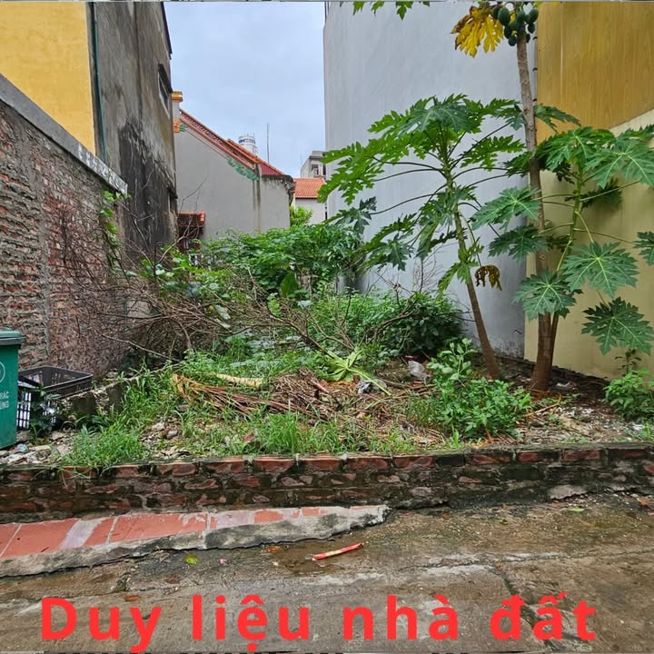 Đất thổ cư Kim Ngọc, Tân Lập, Đan Phượng 63m² giá 5 tỷ - Sổ đỏ, giao ngay!