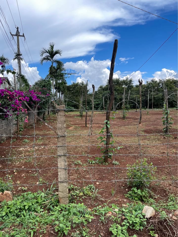 Đất nền Phú Lộc Krông Năng 480m² giá 200 triệu - Đất đẹp, sổ đỏ chính chủ!