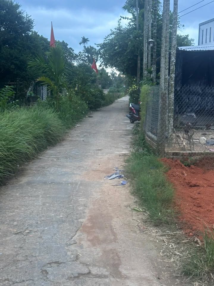 Đất nền Tam Đàn, Phú Ninh 125m² giá thỏa thuận - Sổ đỏ chính chủ!