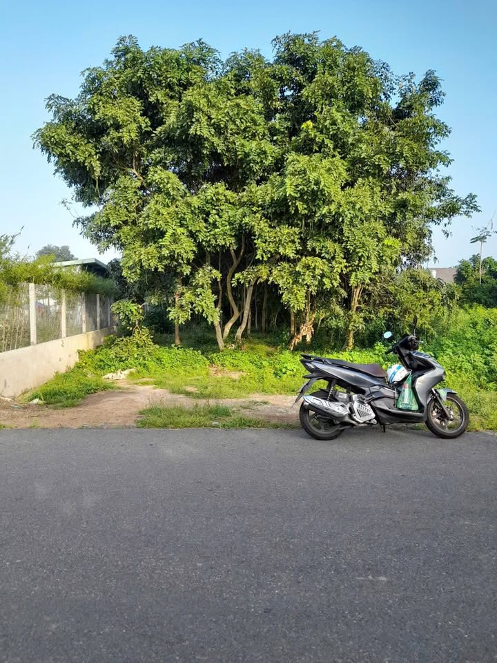 Đất nền mặt tiền đường 52A, Hoà Long 680m² giá 4.2 tỷ - Cơ hội đầu tư hấp dẫn!