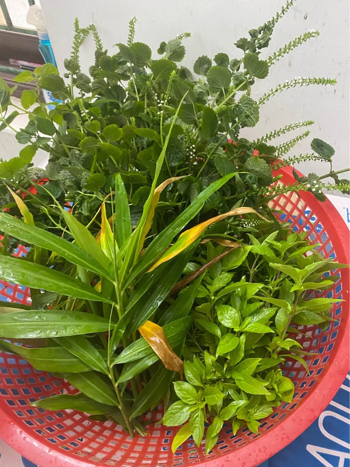 Đất nền KĐT An Hưng 100m² giá 3 tỷ - Sổ đỏ chính chủ, đầu tư sinh lời!