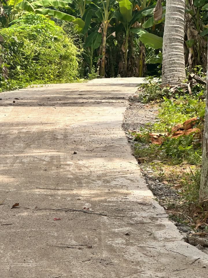 Đất ở Hòa Nhơn - Đà Nẵng 320m² giá chỉ 1.9 tỷ - Cơ hội đầu tư hấp dẫn!