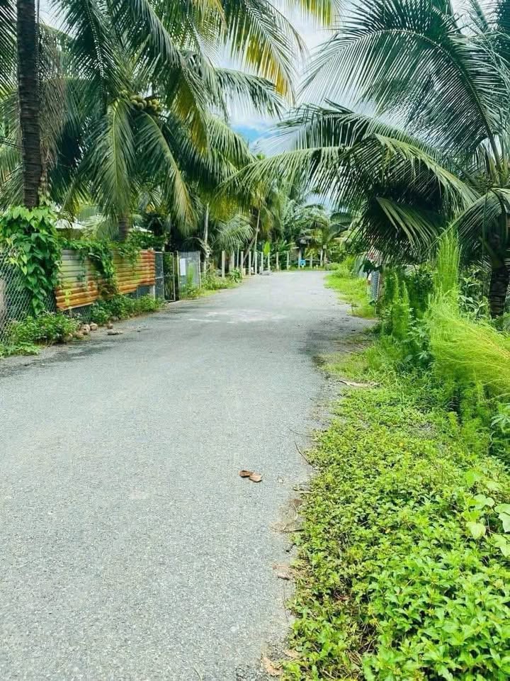 Đất nền Phú Túc, Châu Thành 261m² giá chỉ 770 triệu - Cơ hội đầu tư hấp dẫn!