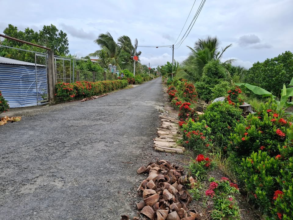 Đất nền Tân Thành, Bình Tân, Vĩnh Long 1000m² giá 699 triệu - Tiềm năng sinh lời cao!