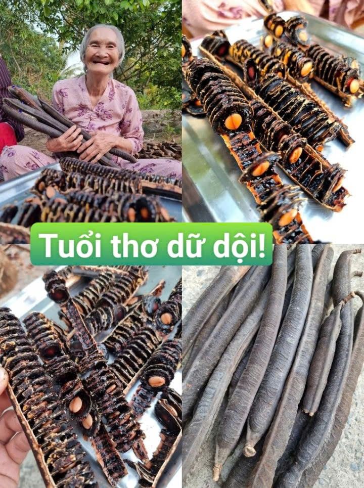 Farm 6,7ha tại xã Tam Lập, Phú Giáo - Đất đẹp, sát Tạo Lực, thỏa thuận giá