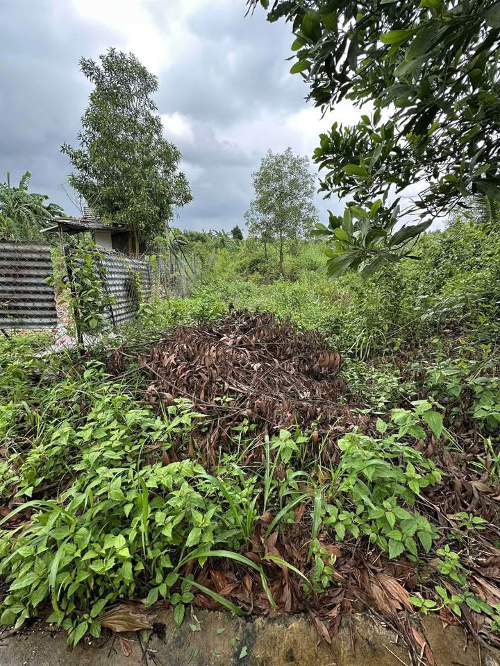 Đất nền 360m² tại Phú Xuân, Tân Phú - Sổ đỏ chính chủ, giá 490 triệu!