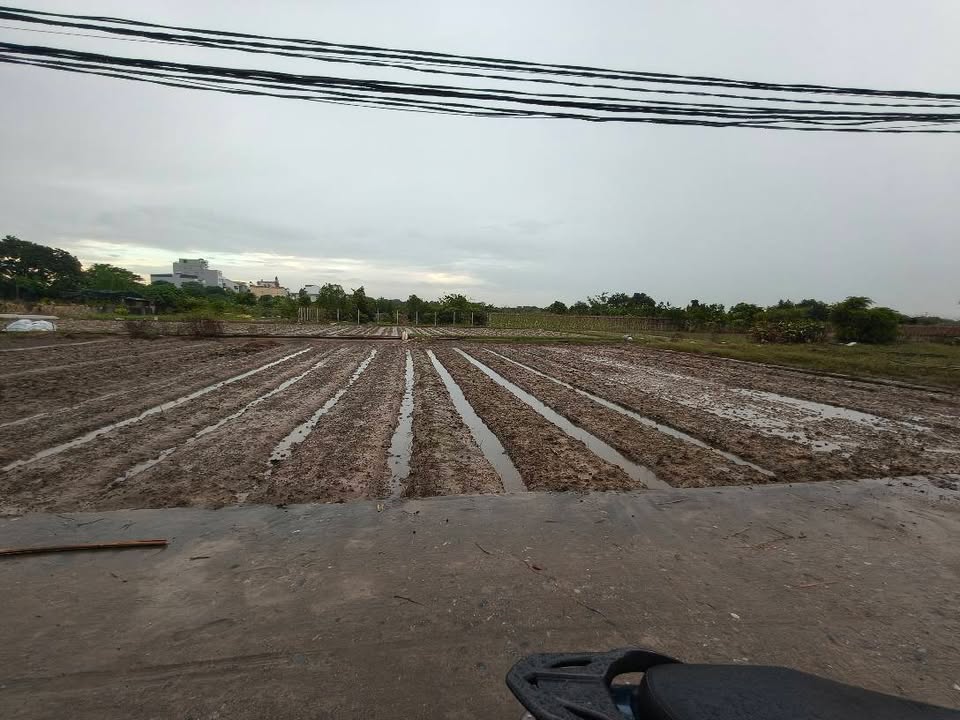 Đất ruộng 312m² Nam Hồng, Đông Anh giá 800 triệu - Cơ hội đầu tư tuyệt vời!