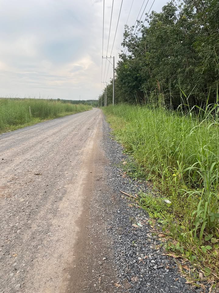 Đất nông nghiệp Tân Hòa Tân Châu 4,2ha giá 15.5 tỷ - Tiềm năng phát triển lớn!