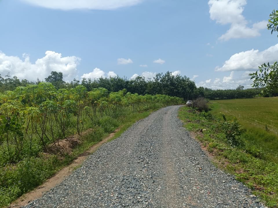 Đất nền 1001m² tại An Cơ, Châu Thành - Giá chỉ từ 2xx triệu, phù hợp đầu tư!