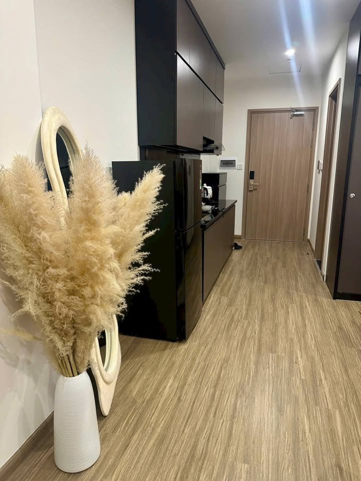 Căn hộ Vinhomes Smart City Tây Mỗ 29m² giá 3.17 tỷ - Full đồ không vay