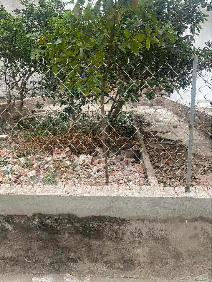 Đất thổ cư Tam Đồng Mê Linh 94m² giá 2.82 tỷ - Sổ đỏ chính chủ, ô tô vào tận đất!