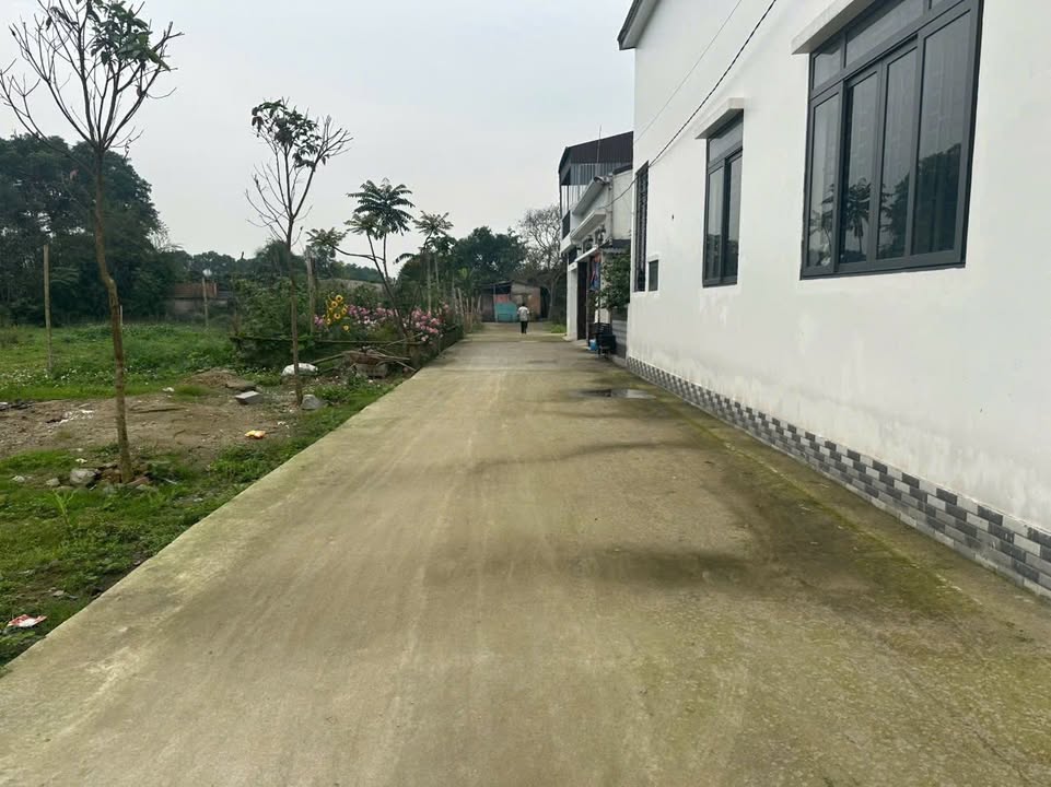 Đất nền Hưng Lộc Vinh 100m² giá 2.6 tỷ - Đầu tư sinh lời hấp dẫn!