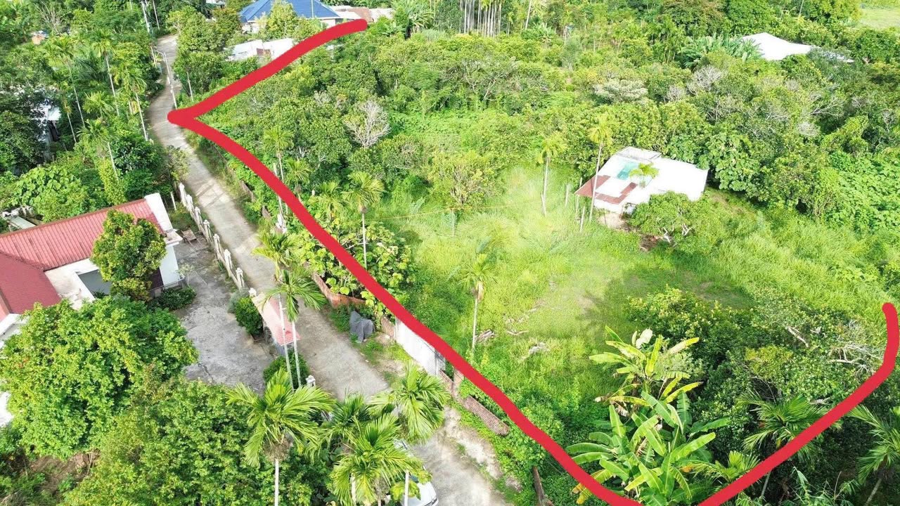 Đất vườn Hoà Ninh Đà Nẵng 4800m² giá 5.5 tỷ - Tiềm năng đầu tư lớn!