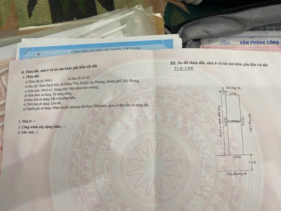 Đất nền lô góc Bạch Mai, Đồng Thái, An Dương 100m² giá chỉ 3.5 tỷ - Đầu tư sinh lời ngay!