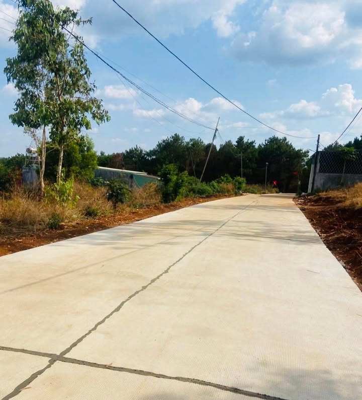 Lô đất 1.500m² tại Hẻm Hoàng Sa, Phường Diên Hồng, Gia Lai - Cơ hội đầu tư tuyệt vời!