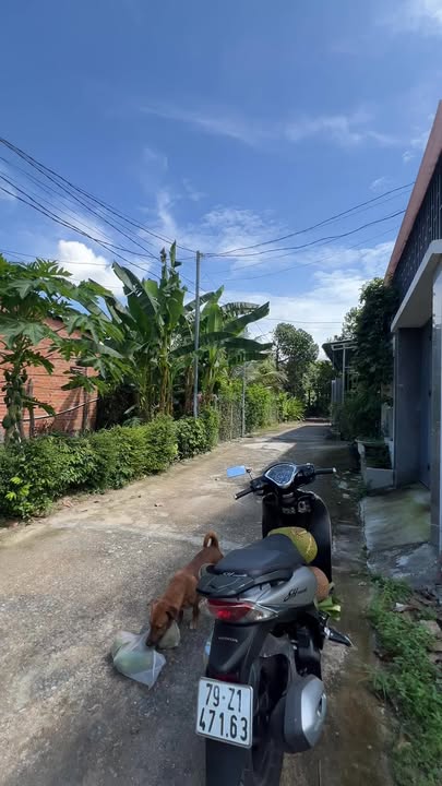 Đất Diên An, Diên Khánh 86.2m² giá 1.07 tỷ - Đường ô tô tận nơi!