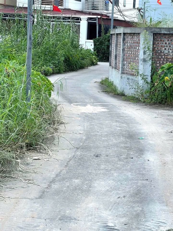 Đất nền Thư Phú, Thường Tín 106m² giá 400 triệu - Vị trí tiềm năng, dân cư đông đúc!