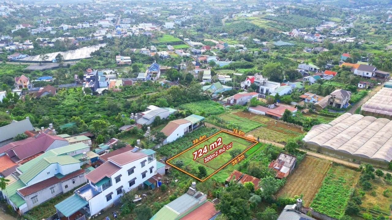 Bán lô biệt thự 111 Lý Thái Tổ, Bảo Lộc 724m² - Đường ô tô vào tận nơi!