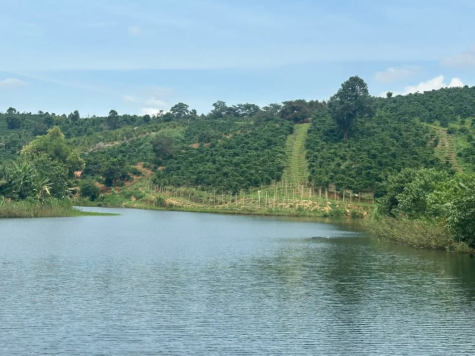 Đất Farm Tân Thành, Krông Nô 5,4 sào (19440m²) giá 1,5 tỷ - View hồ tuyệt đẹp!