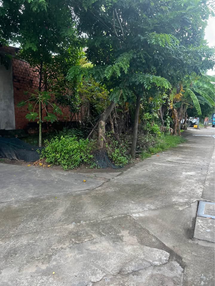 Đất 2 mặt kiệt ô tô Hoàng Thị Loan 115m² giá 5.25 tỷ - Đầu tư sinh lời ngay!