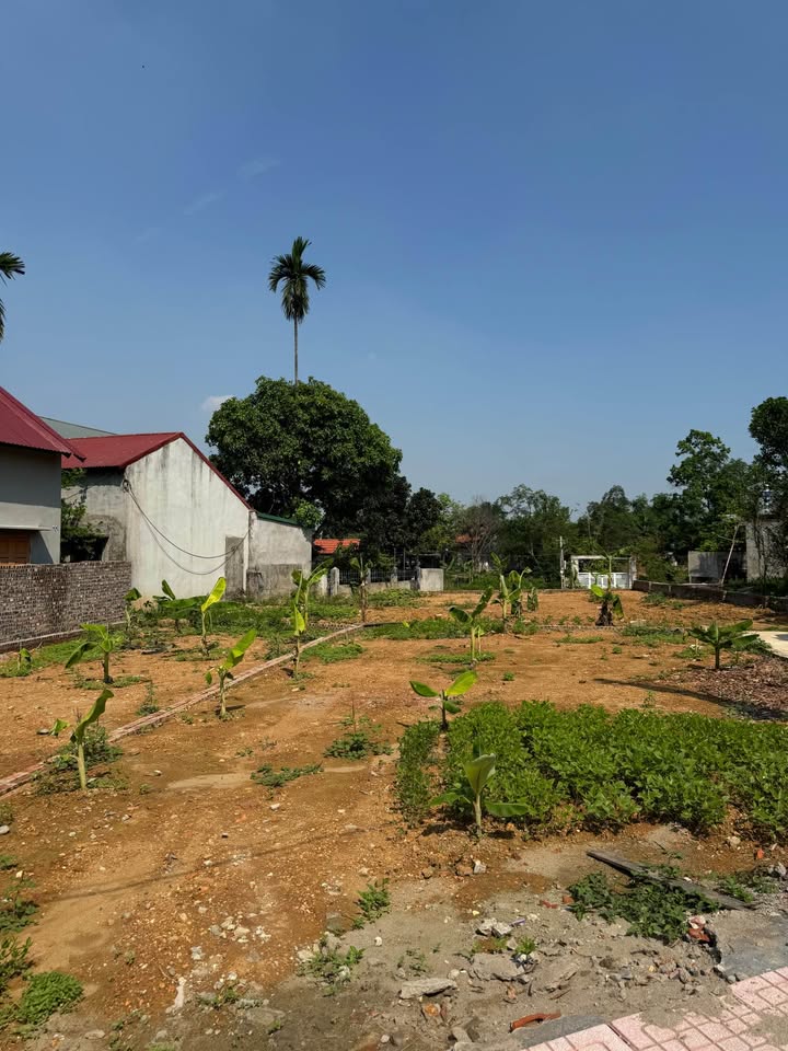 Đất nền 342m² Lại Thượng - Thạch Thất - Giá chỉ 3.59 tỷ - Cạnh trường Sỹ Quan Lục Quân!