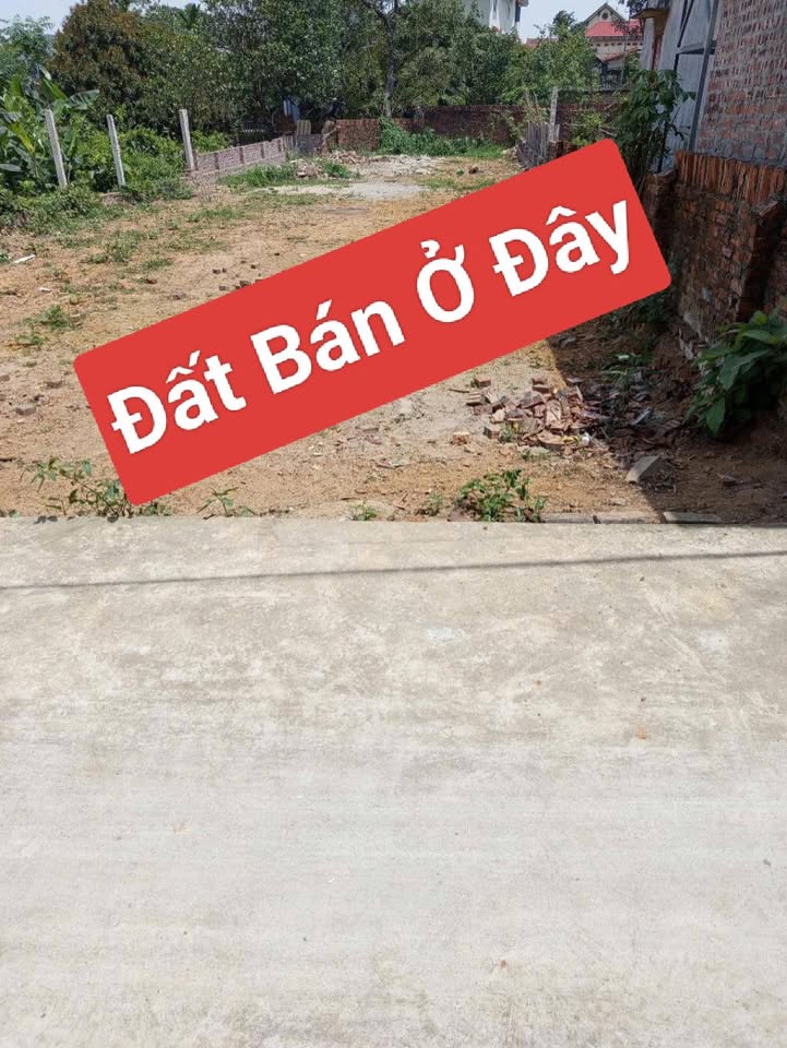 Đất thổ cư 300m² Xuân Dục, Sóc Sơn - Gần trường đua ngựa, ô tô vào tận đất!