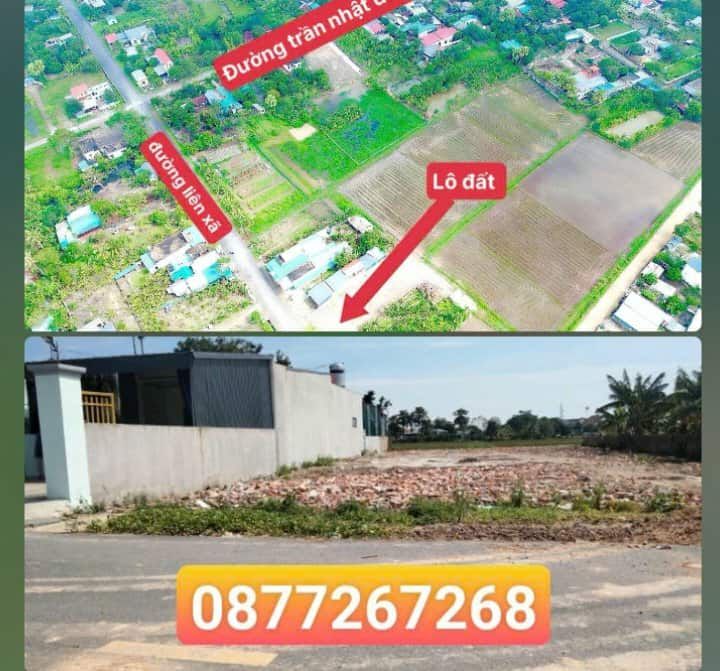 Đất nền Tân Phong 800m² giá thỏa thuận - Cơ hội đầu tư tuyệt vời!