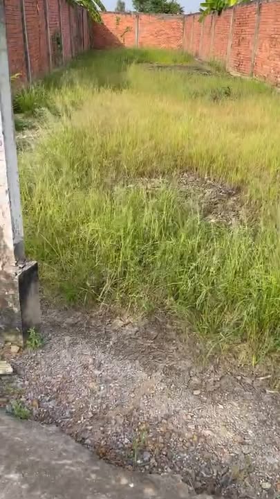 Đất mặt tiền GTNT Mỹ Lộc, Cần Giuộc 296m² giá 1.5 tỷ - Cơ hội đầu tư tuyệt vời!