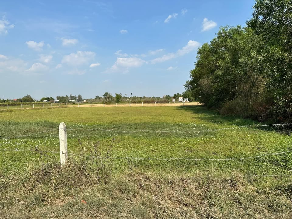 Đất thổ cư 2767m² tại Ấp 4, Mỹ Thạnh Đông, Đức Huệ, Long An - Giá chỉ 4,3 tỷ VND!