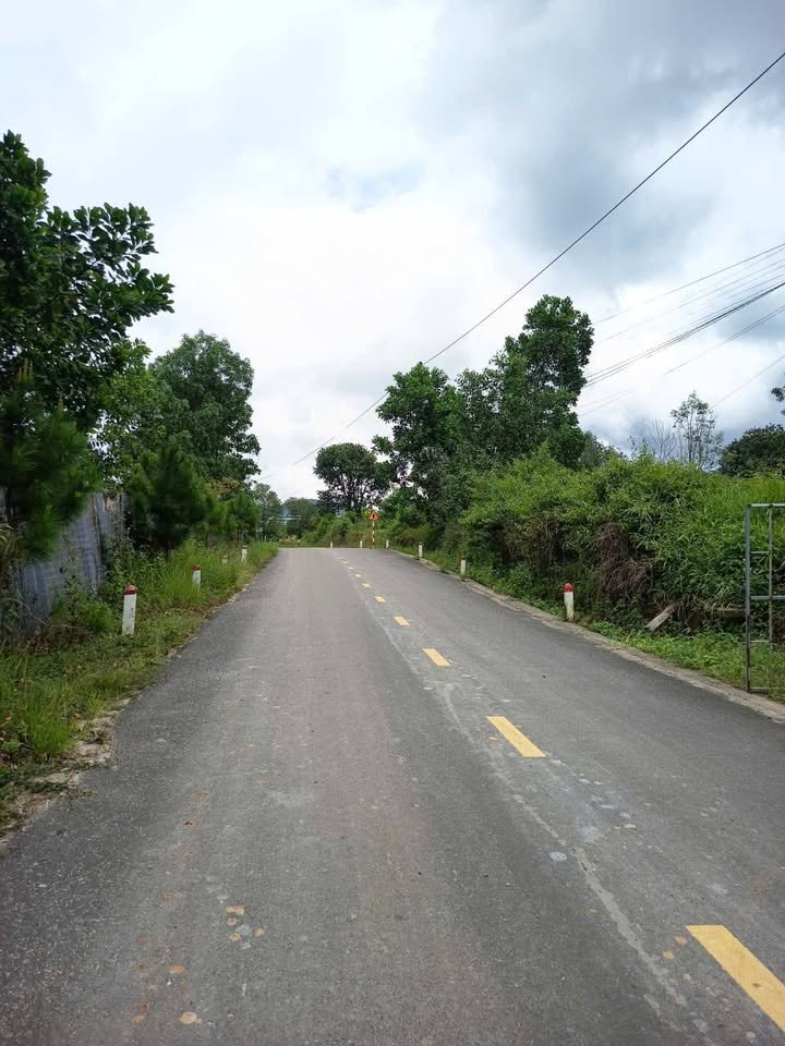 Đất nền Lộc Châu Bảo Lộc 11782.8m² giá 3.75 tỷ - Đầu tư sinh lời tuyệt vời!