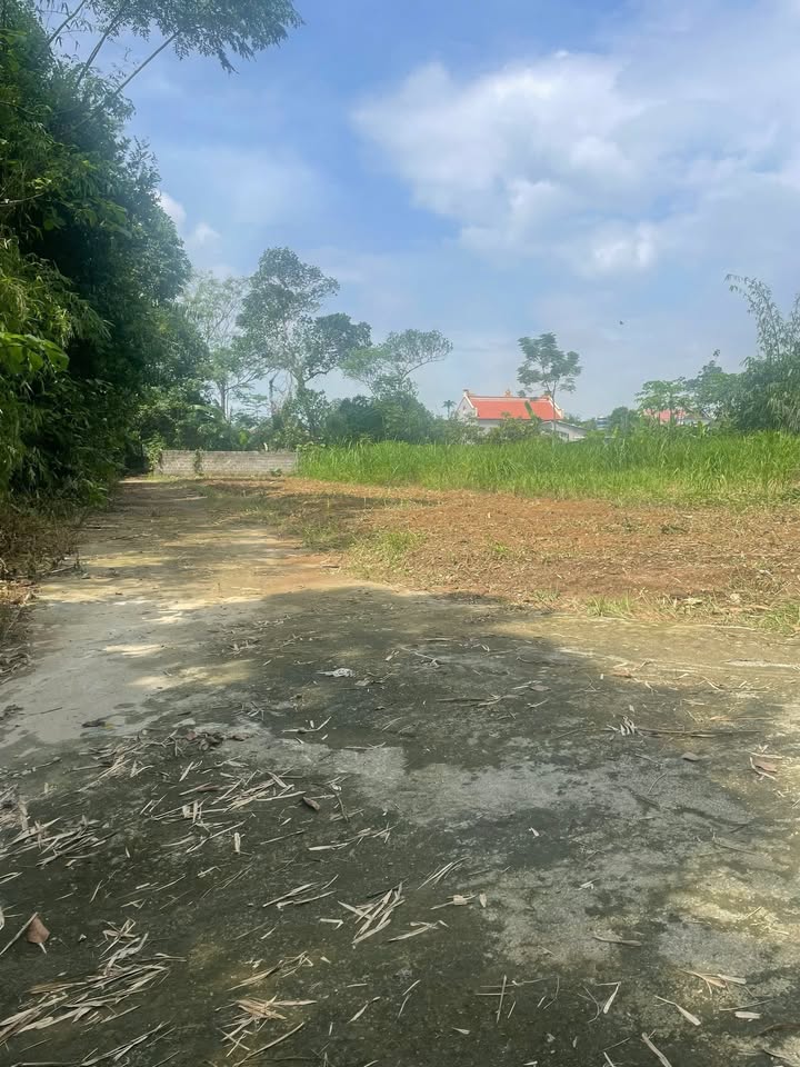 Đất nền Yên Sơn, Tam Điệp 200m² - Đường ô tô vào tận đất, giá tốt!