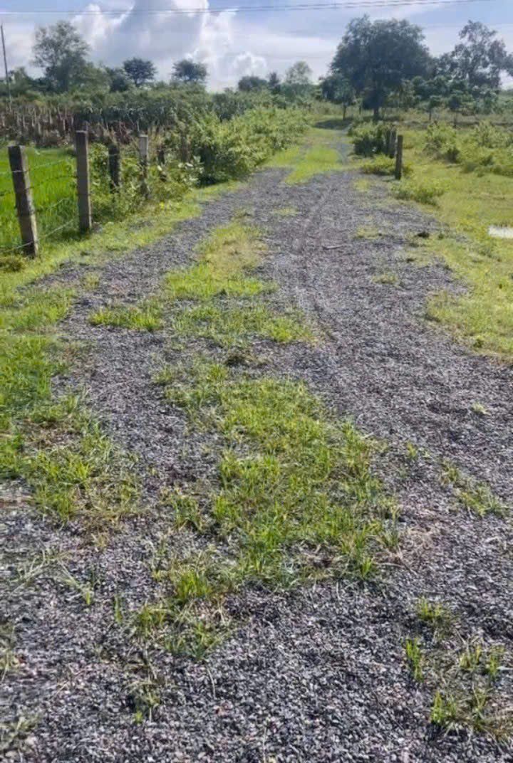 Đất Farm 7200m² tại Thôn Phú Điền, Hàm Phú, Bình Thuận - Giá chỉ 220 triệu!