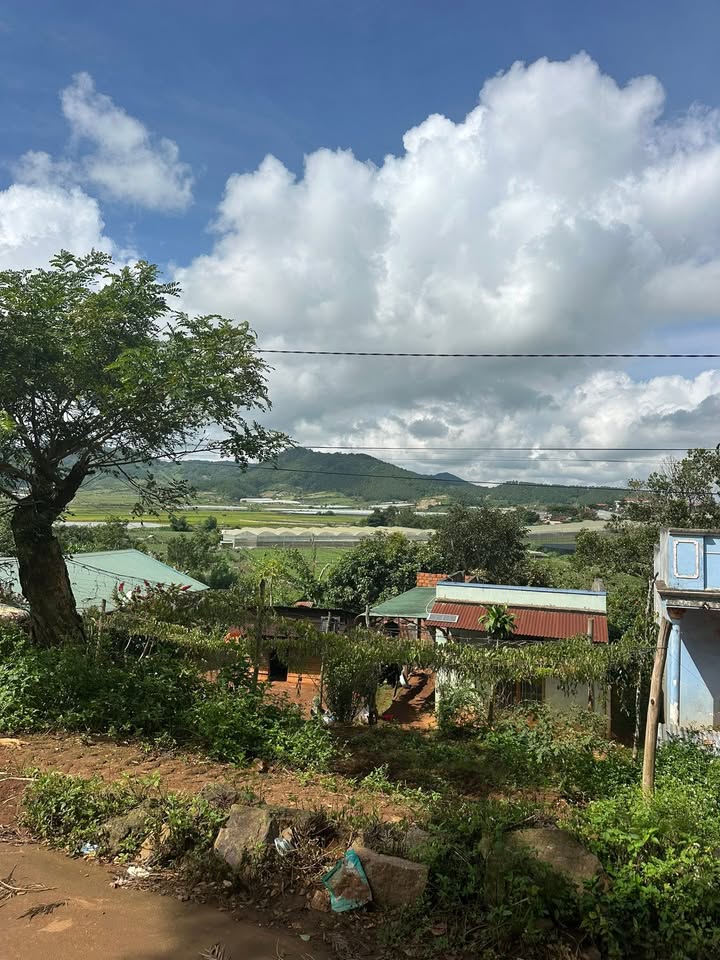 Đất nền đẹp tại xã Quảng Lập, Đơn Dương 428m² giá 899 triệu - Cơ hội đầu tư tuyệt vời!