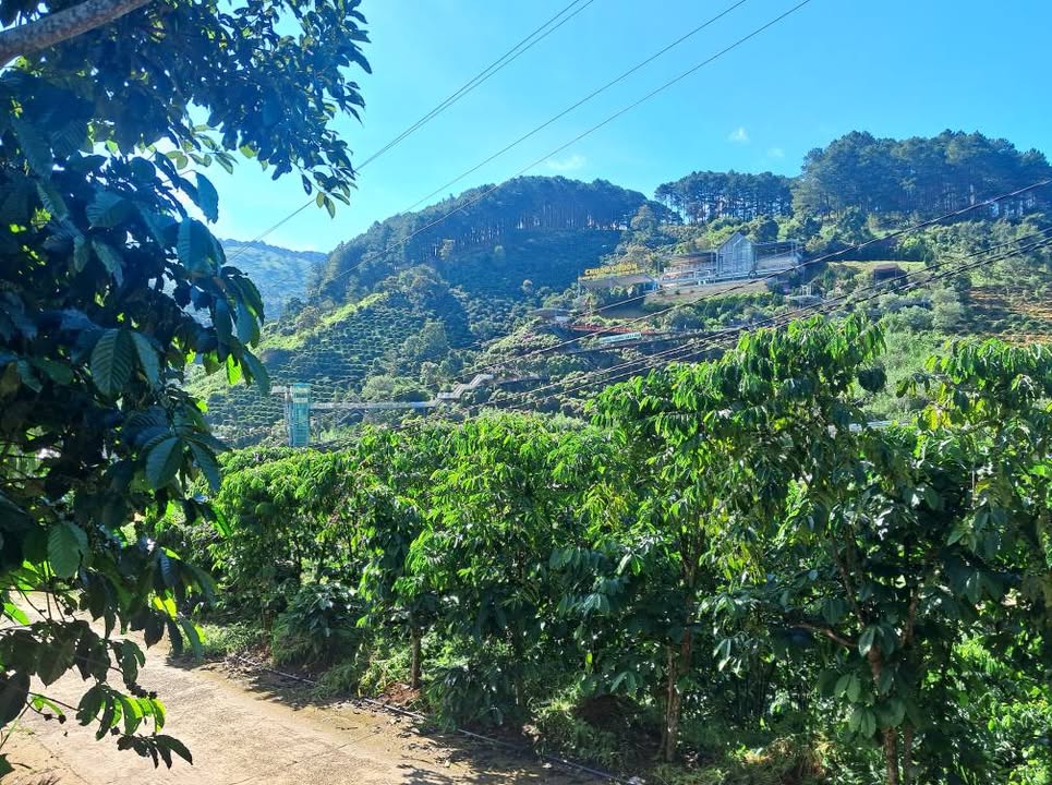 Đất nền Mê Linh Lâm Hà 5300m² giá 13 tỷ - Tiềm năng nghỉ dưỡng cao